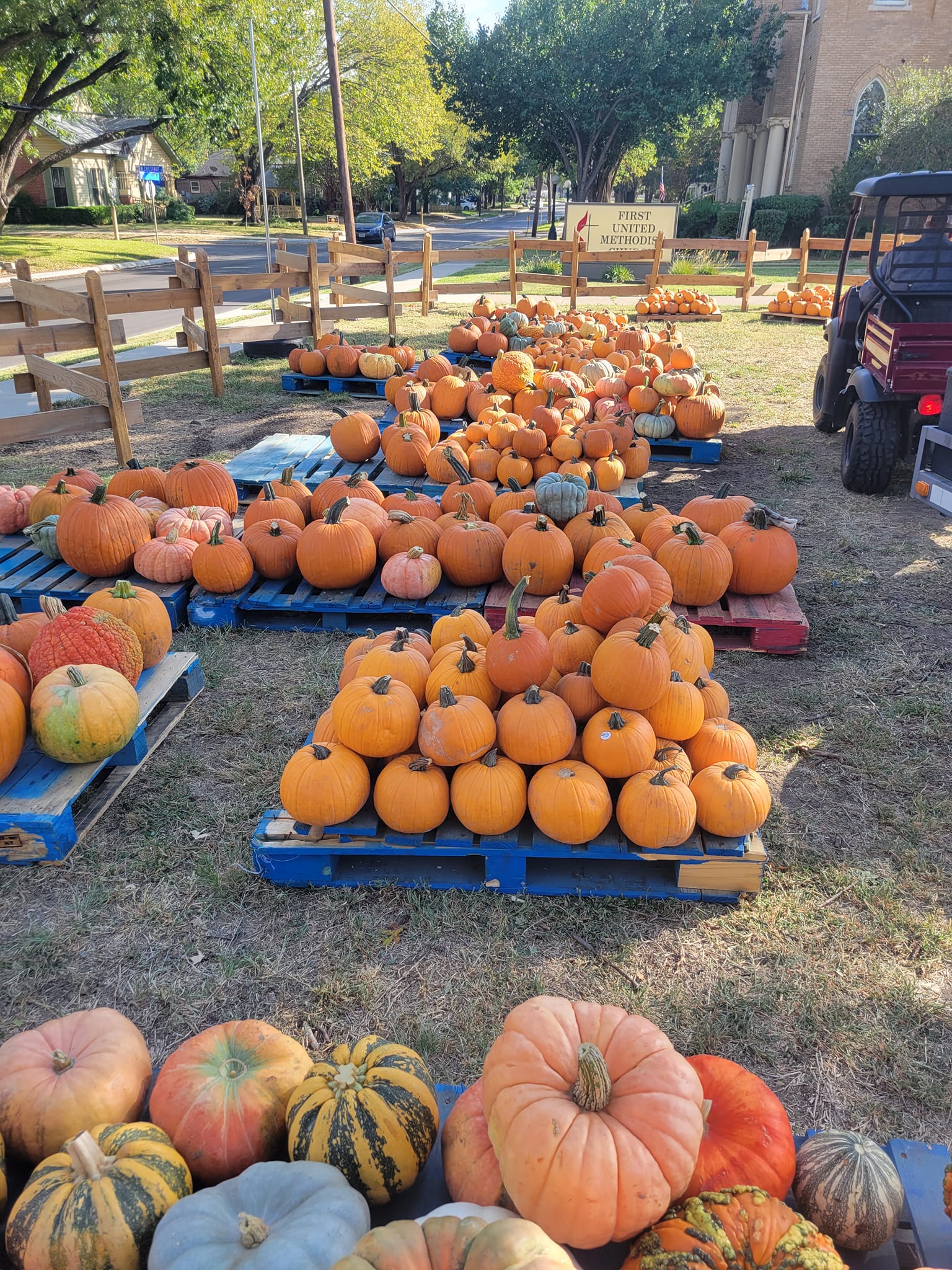 pumpkin delivery 3.jpg